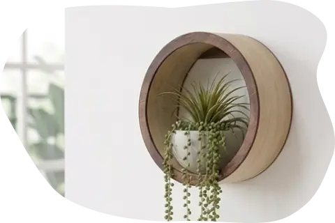 円形のウォールシェルフ